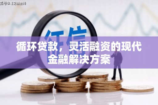 阜新循环贷款，灵活融资的现代金融解决方案