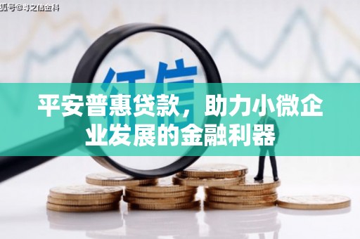 阜新平安普惠贷款，助力小微企业发展的金融利器