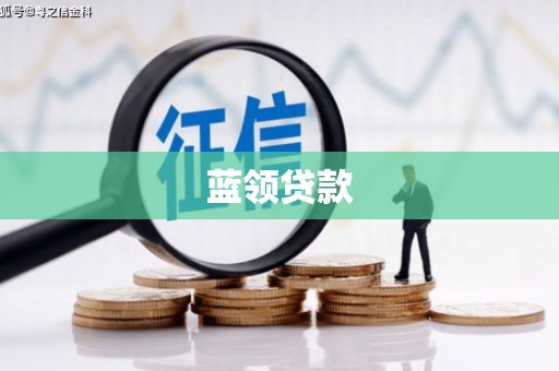 阜新蓝领贷款