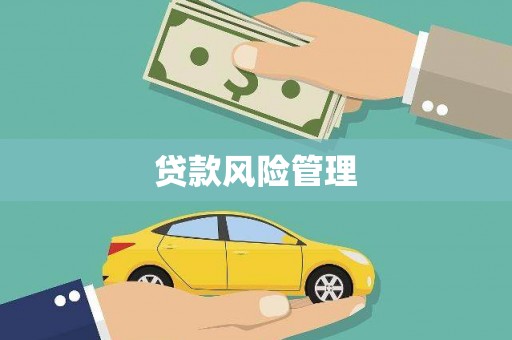 阜新贷款风险管理