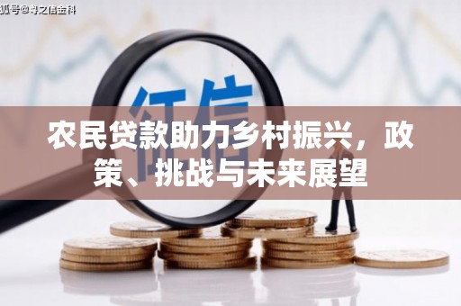 阜新农民贷款助力乡村振兴，政策、挑战与未来展望