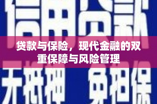 阜新贷款与保险，现代金融的双重保障与风险管理
