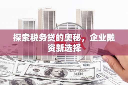 阜新探索税务贷的奥秘，企业融资新选择