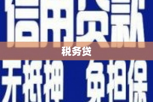 阜新税务贷