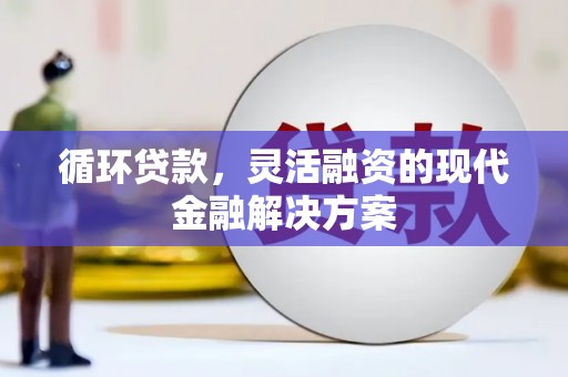 阜新循环贷款，灵活融资的现代金融解决方案