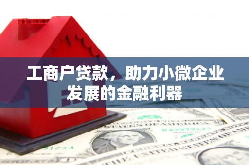 阜新工商户贷款，助力小微企业发展的金融利器