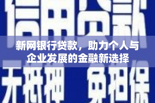 阜新新网银行贷款，助力个人与企业发展的金融新选择