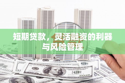 阜新短期贷款，灵活融资的利器与风险管理