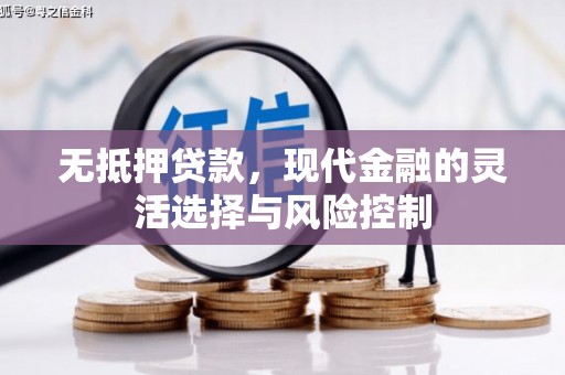 阜新无抵押贷款，现代金融的灵活选择与风险控制