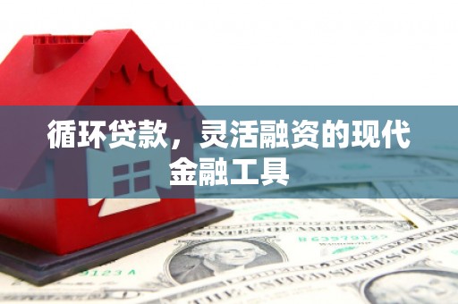 阜新循环贷款，灵活融资的现代金融工具