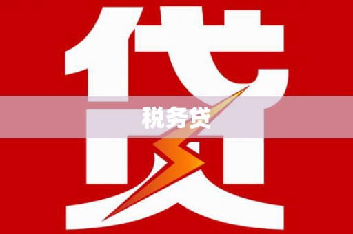 阜新税务贷