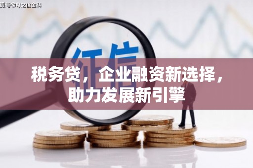 阜新税务贷，企业融资新选择，助力发展新引擎