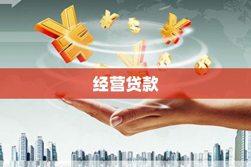 阜新经营贷款