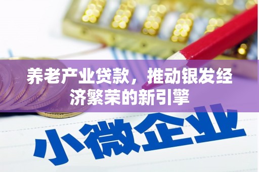 阜新养老产业贷款，推动银发经济繁荣的新引擎