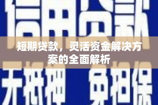 阜新短期贷款，灵活资金解决方案的全面解析