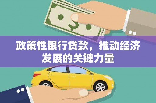 阜新政策性银行贷款，推动经济发展的关键力量