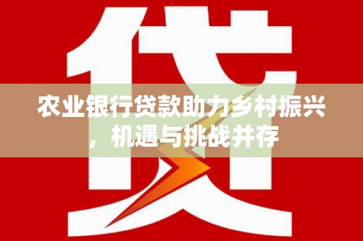 阜新农业银行贷款助力乡村振兴，机遇与挑战并存