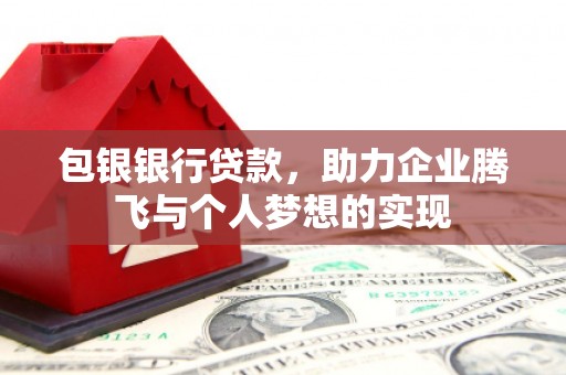 阜新包银银行贷款，助力企业腾飞与个人梦想的实现