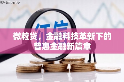 阜新微粒贷，金融科技革新下的普惠金融新篇章