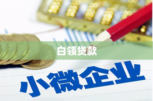 阜新白领贷款