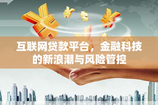 阜新互联网贷款平台，金融科技的新浪潮与风险管控