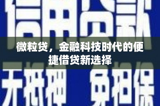 阜新微粒贷，金融科技时代的便捷借贷新选择