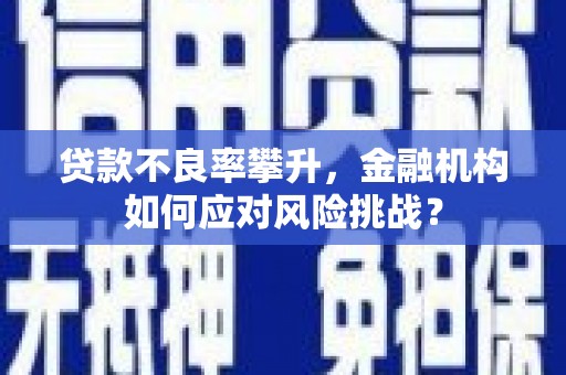 阜新贷款不良率攀升，金融机构如何应对风险挑战？