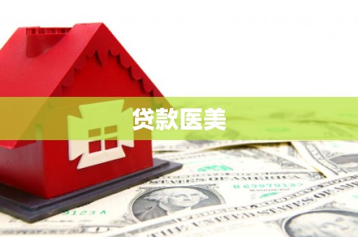 阜新贷款医美