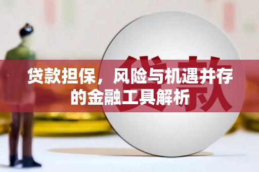 阜新贷款担保，风险与机遇并存的金融工具解析