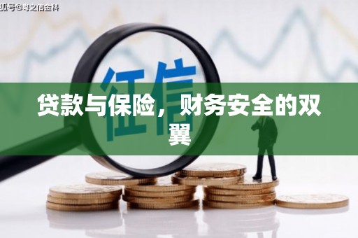 阜新贷款与保险，财务安全的双翼